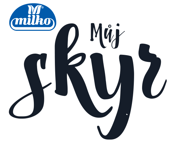 Skyr logo